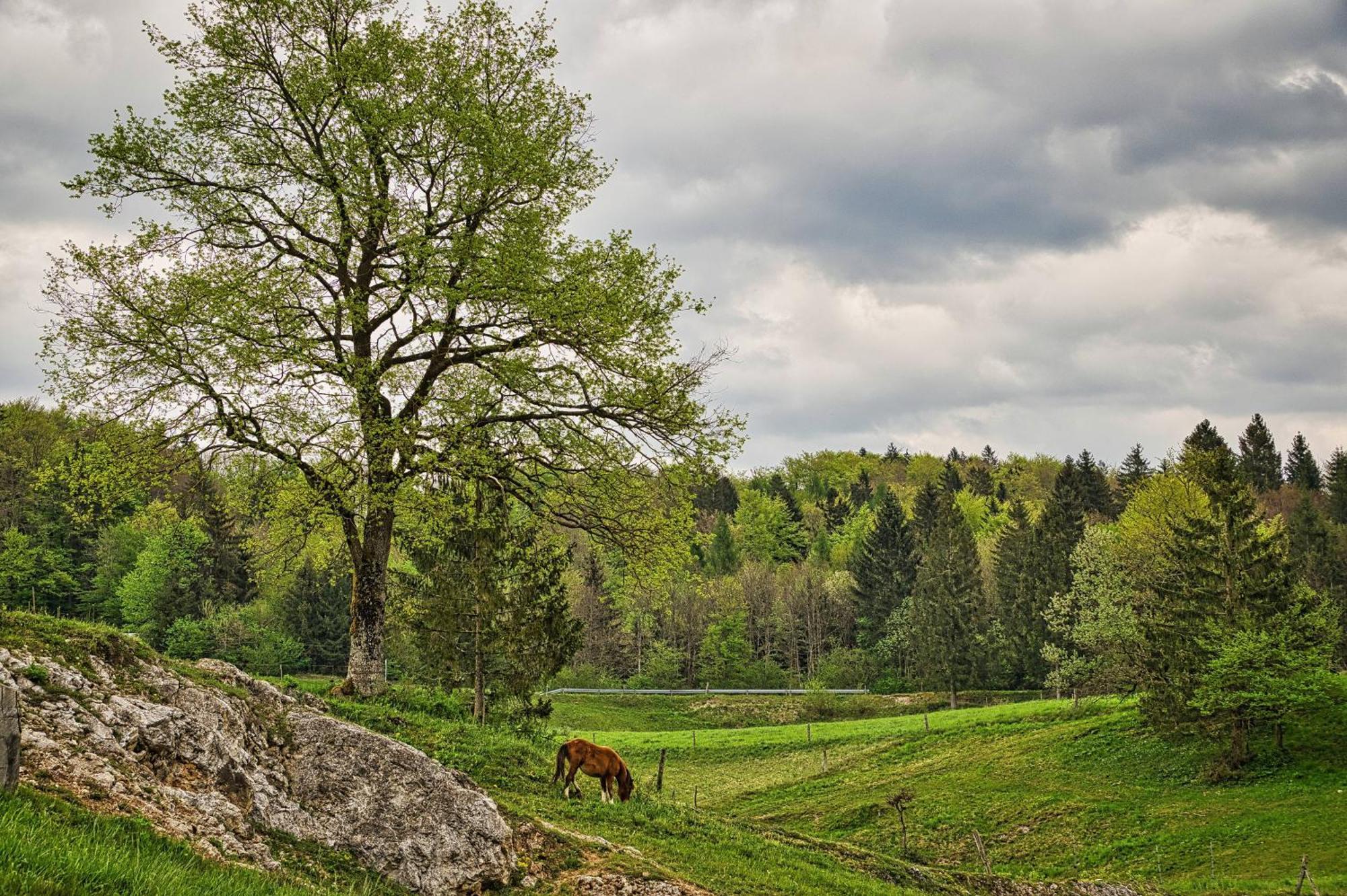 Cowboy'S Land Visnja Gora Exterior foto
